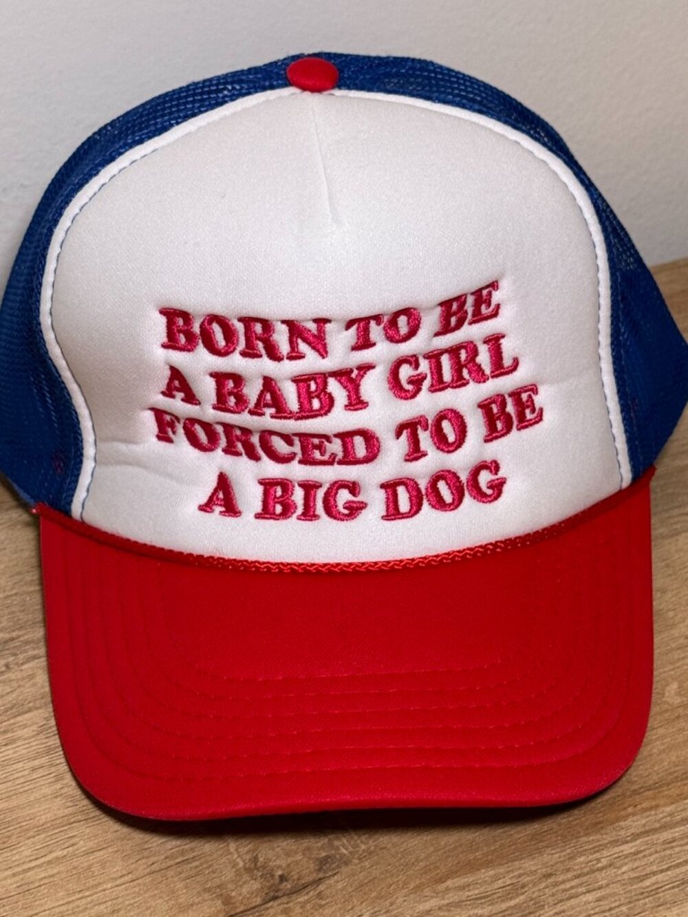'Born To Be A Baby Girl Forced To Be A Big Dog' Hat never worn, $33 Value